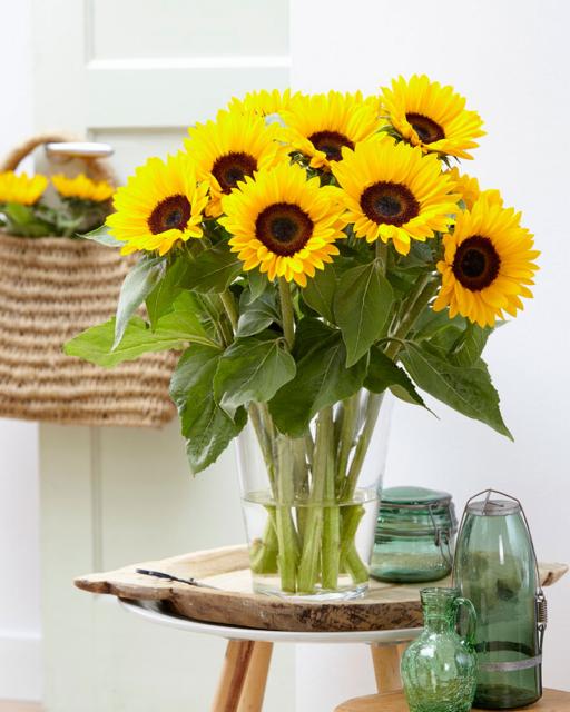 Sunflowers